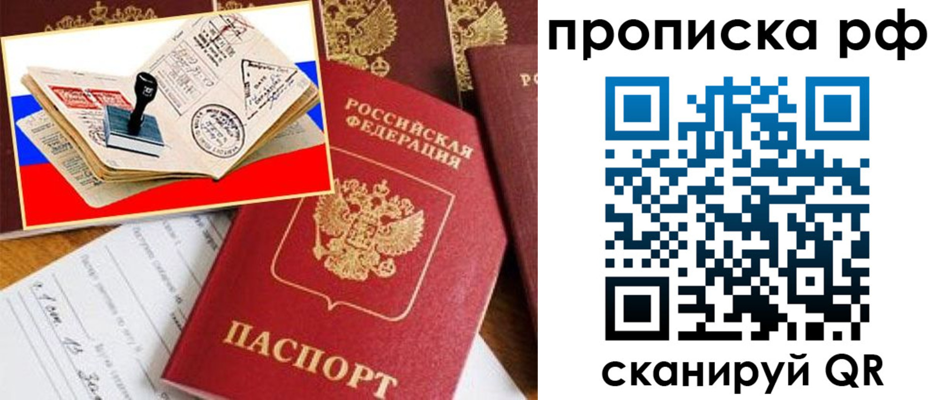 прописка иностранных граждан в Долгопрудном